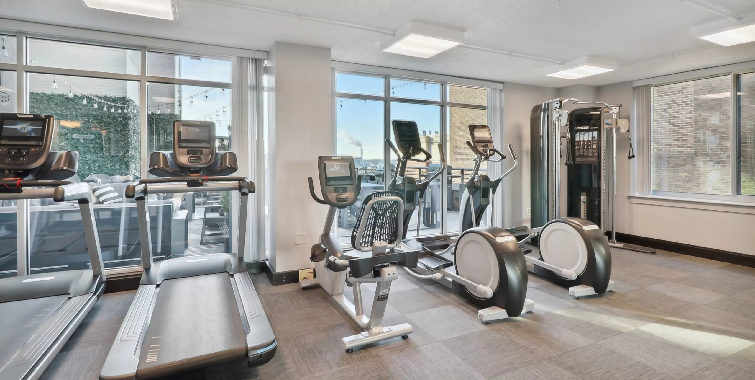 The Zenith Gym